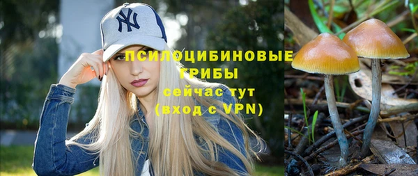 твердый Алексин