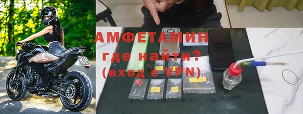 сатива Абаза
