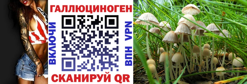 что такое Тетюши Псилоцибиновые грибы прущие грибы